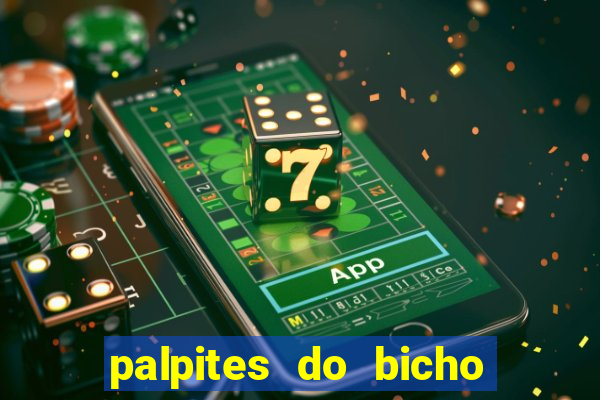 palpites do bicho no celular